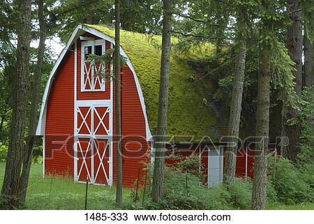 Barn surrounded by trees, Oregon, USA View Large Photo Image Stock Image - Barn surrounded by trees, Oregon, USA. Fotosearch