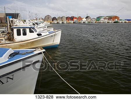 Boats in a row at a harbor, Malpeque, Prince Edward Island, Canada View Large Photo Image Stock Photo - Boats in a row at a harbor, Malpeque, Prince Edward Island, Canada. Fotosearch