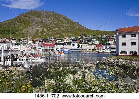Boats moored at a port, Honningsvag Port, Honningsvag, Mageroya Island, Nordkapp, Finnmark County, Norway View Large Photo Image Stock Image - Boats moored at a port, Honningsvag Port, Honningsvag, Mageroya Island, Nordkapp, Finnmark County, Norway. Fotosearch