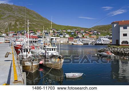Boats moored at a port, Honningsvag Port, Honningsvag, Mageroya Island, Nordkapp, Finnmark County, Norway View Large Photo Image Stock Image - Boats moored at a port, Honningsvag Port, Honningsvag, Mageroya Island, Nordkapp, Finnmark County, Norway. Fotosearch