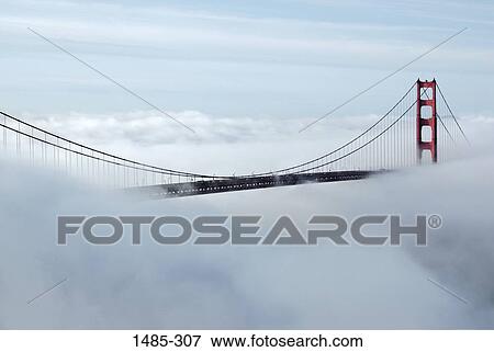 Bridge covered with fog, Golden Gate Bridge, San Francisco, California, USA View Large Photo Image Stock Photo - Bridge covered with fog, Golden Gate Bridge, San Francisco, California, USA. Fotosearch