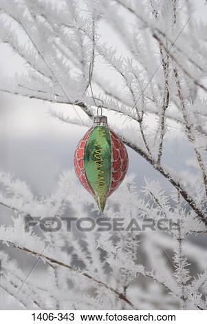 Christmas ornament hanging on a frost covered tree View Large Photo Image Stock Image - Christmas ornament hanging on a frost covered tree. Fotosearch