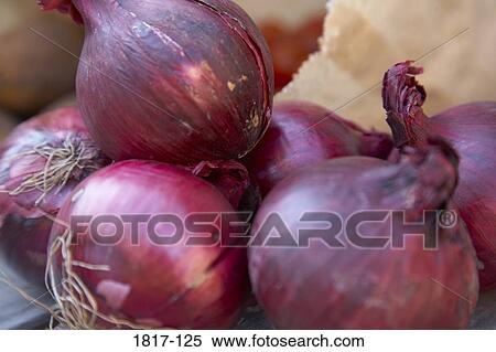 Close-up of a heap of onions View Large Photo Image Stock Photography - Close-up of a heap of onions. Fotosearch