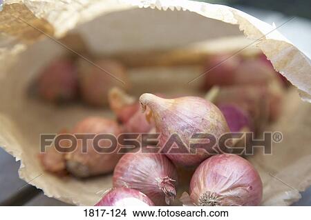 Close-up of onions in a paper bag View Large Photo Image Picture - Close-up of onions in a paper bag. Fotosearch
