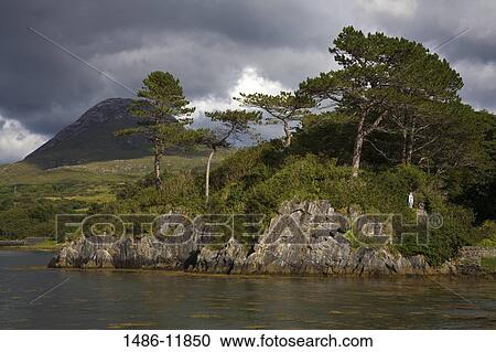 Clouds over a forest, Letterfrack, Connemara National Park, County Galway, Connacht Province, Republic of Ireland View Large Photo Image Stock Image - Clouds over a forest, Letterfrack, Connemara National Park, County Galway, Connacht Province, Republic of Ireland. Fotosearch