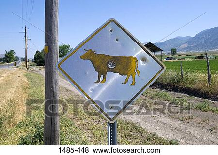 Stock Photo - Cow Crossing sign at the roadside, Utah, USA. Fotosearch