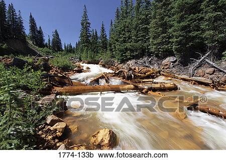 Creek flowing through a forest, Red Creek, Ouray County, San Juan Mountains, Colorado, USA View Large Photo Image Stock Image - Creek flowing through a forest, Red Creek, Ouray County, San Juan Mountains, Colorado, USA. Fotosearch