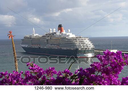 Cruise ship in the ocean, MS Queen Victoria, Cunard Line, Funchal, Madeira, Portugal View Large Photo Image Stock Image - Cruise ship in the ocean, MS Queen Victoria, Cunard Line, Funchal, Madeira, Portugal. Fotosearch