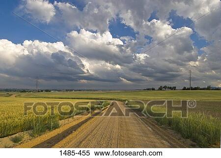 Dirt road passing through a landscape, Boulder, Boulder County, Colorado, USA View Large Photo Image Stock Photography - Dirt road passing through a landscape, Boulder, Boulder County, Colorado, USA. Fotosearch