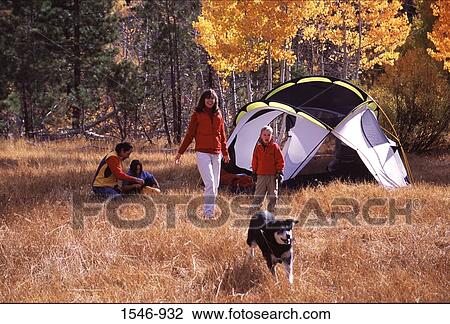 Family at camping in a forest, Truckee, Nevada County, California, USA View Large Photo Image Stock Image - Family at camping in a forest, Truckee, Nevada County, California, USA. Fotosearch