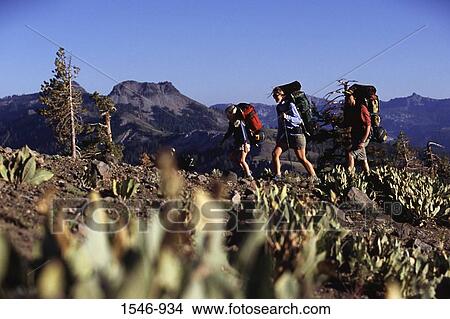 Family hiking a mountain, Pacific Crest Trail, California, USA View Large Photo Image Picture - Family hiking a mountain, Pacific Crest Trail, California, USA. Fotosearch