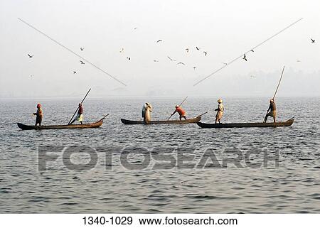 Fishermen fishing in a lagoon, Kerala backwaters, Cherai, Ernakulam District, Kerala, India View Large Photo Image Stock Photo - Fishermen fishing in a lagoon, Kerala backwaters, Cherai, Ernakulam District, Kerala, India. Fotosearch