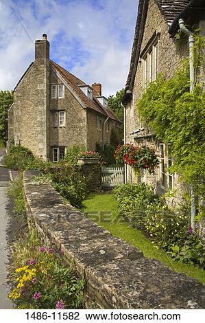 Stock Image - Flowering plants in a lawn in front of a stone house, Lacock, Wiltshire, England. Fotosearch