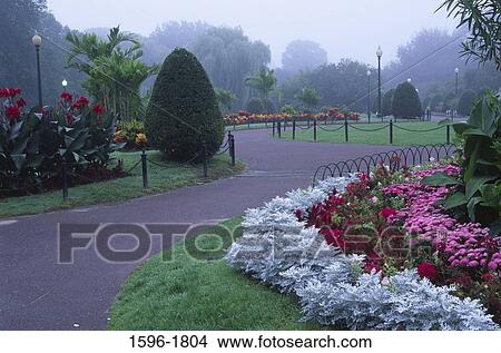 Picture - Flowers and plants in a garden, Boston Public Garden, Boston, Suffolk County, Massachusetts, USA. Fotosearch