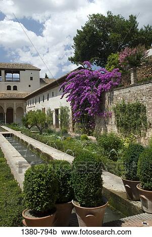 Flowers and plants in a garden, Alhambra, Granada, Andalusia, Spain View Large Photo Image Stock Image - Flowers and plants in a garden, Alhambra, Granada, Andalusia, Spain. Fotosearch