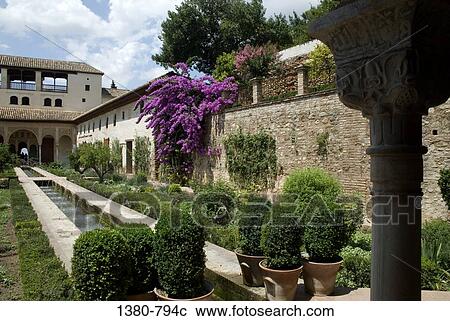 Flowers and plants in a garden, Alhambra, Granada, Andalusia, Spain View Large Photo Image Stock Image - Flowers and plants in a garden, Alhambra, Granada, Andalusia, Spain. Fotosearch