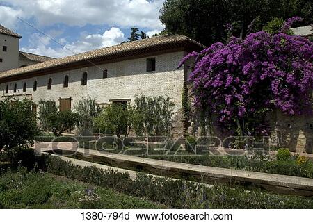 Flowers and plants in a garden, Alhambra, Granada, Andalusia, Spain View Large Photo Image Stock Image - Flowers and plants in a garden, Alhambra, Granada, Andalusia, Spain. Fotosearch