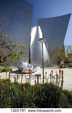 Flowers in front of an entertainment building, Walt Disney Concert Hall, City of Los Angeles, Los Angeles County, California, USA View Large Photo Image Stock Image - Flowers in front of an entertainment building, Walt Disney Concert Hall, City of Los Angeles, Los Angeles County, California, USA. Fotosearch