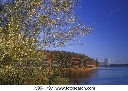 Forest at the lakeside, Lake Barkley, Demumbers Bay Lake Access, Land Between The Lakes National Recreation Area, Kentucky, USA View Large Photo Image Stock Photo - Forest at the lakeside, Lake Barkley, Demumbers Bay Lake Access, Land Between The Lakes National Recreation Area, Kentucky, USA. Fotosearch