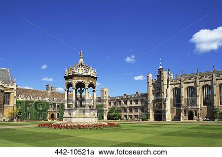 Stock Image - Garden in the courtyard of an educational building, Trinity Great Court, Trinity College, Cambridge, Cambridgeshire, England. Fotosearch