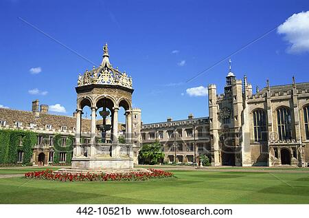 Garden in the courtyard of an educational building, Trinity Great Court, Trinity College, Cambridge, Cambridgeshire, England View Large Photo Image Stock Image - Garden in the courtyard of an educational building, Trinity Great Court, Trinity College, Cambridge, Cambridgeshire, England. Fotosearch