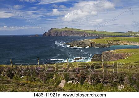 High angle view of a coastline, Clogher Head, Dingle, Dingle Peninsula, County Kerry, Munster Province, Ireland View Large Photo Image Stock Image - High angle view of a coastline, Clogher Head, Dingle, Dingle Peninsula, County Kerry, Munster Province, Ireland. Fotosearch