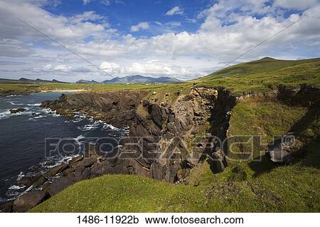 Stock Image - High angle view of a coastline, Clogher Head, Dingle, Dingle Peninsula, County Kerry, Munster Province, Ireland. Fotosearch