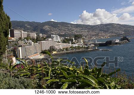 High angle view of a hotels at the waterfront viewed from Reid's Palace Hotel, Funchal, Madeira, Portugal View Large Photo Image Stock Image - High angle view of a hotels at the waterfront viewed from Reid's Palace Hotel, Funchal, Madeira, Portugal. Fotosearch