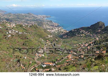 High angle view of a town at the coast, Cabo Girao, Camara De Lobos, Cruz da Caldeira, Madeira, Portugal View Large Photo Image Picture - High angle view of a town at the coast, Cabo Girao, Camara De Lobos, Cruz da Caldeira, Madeira, Portugal. Fotosearch