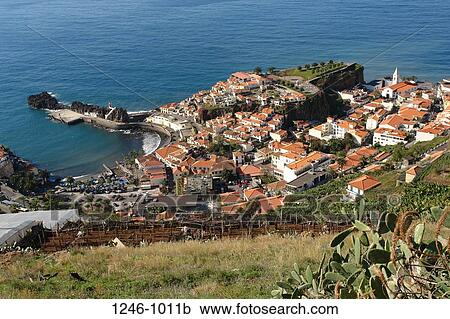 High angle view of a town at the coast, Camara de Lobos, Madeira, Portugal View Large Photo Image Stock Image - High angle view of a town at the coast, Camara de Lobos, Madeira, Portugal. Fotosearch