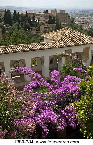 High angle view of buildings in a city, Alhambra, Granada, Andalusia, Spain View Large Photo Image Picture - High angle view of buildings in a city, Alhambra, Granada, Andalusia, Spain. Fotosearch