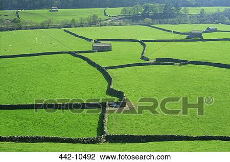 High angle view of fields, Swaledale, Yorkshire Dales, Yorkshire, England View Large Photo Image Stock Image - High angle view of fields, Swaledale, Yorkshire Dales, Yorkshire, England. Fotosearch