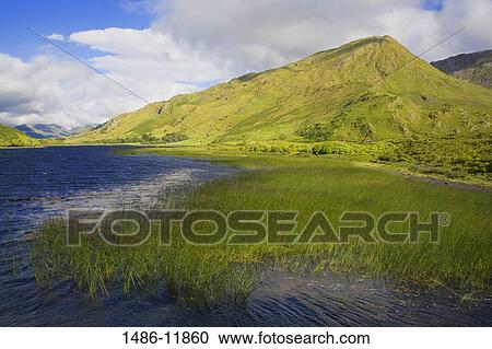 Hill at the lakeside, Lake Kylemore, Connemara, County Galway, Connacht Province, Republic of Ireland View Large Photo Image Stock Image - Hill at the lakeside, Lake Kylemore, Connemara, County Galway, Connacht Province, Republic of Ireland. Fotosearch