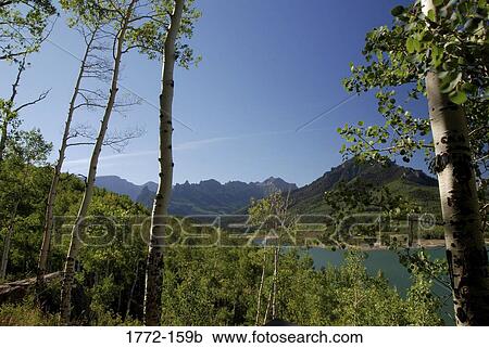Stock Image - Lake in a forest, Lake County, Colorado, USA. Fotosearch
