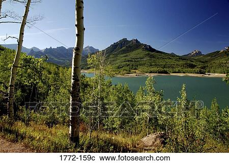 Lake in a forest, Lake County, Colorado, USA View Large Photo Image Stock Image - Lake in a forest, Lake County, Colorado, USA. Fotosearch