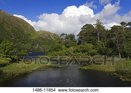 Lake in a forest, Lake Kylemore, Connemara, County Galway, Connacht Province, Republic of Ireland View Large Photo Image Picture - Lake in a forest, Lake Kylemore, Connemara, County Galway, Connacht Province, Republic of Ireland. Fotosearch