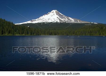 Lake in front of a mountain, Trillium Lake, Mt Hood, Mt Hood National Forest, Portland, Multnomah County, Oregon, USA View Large Photo Image Stock Image - Lake in front of a mountain, Trillium Lake, Mt Hood, Mt Hood National Forest, Portland, Multnomah County, Oregon, USA. Fotosearch