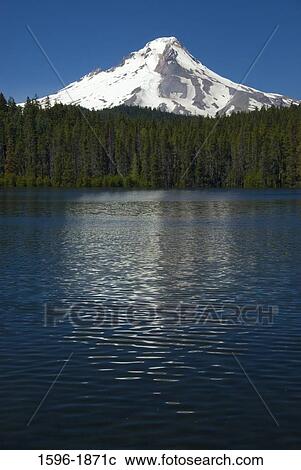 Lake in front of a mountain, Trillium Lake, Mt Hood, Mt Hood National Forest, Portland, Multnomah County, Oregon, USA View Large Photo Image Stock Image - Lake in front of a mountain, Trillium Lake, Mt Hood, Mt Hood National Forest, Portland, Multnomah County, Oregon, USA. Fotosearch