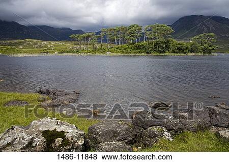 Stock Photo - Lake with mountains in the background, Clifden, Connemara, County Galway, Connacht Province, Republic of Ireland. Fotosearch