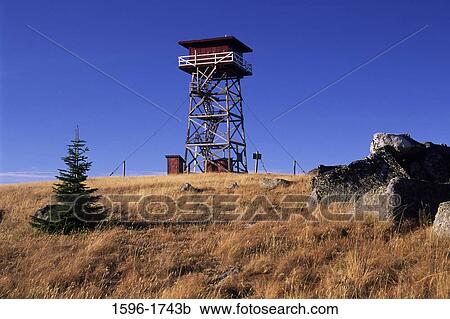 Low angle view of a lookout tower, South Baldy Lookout, Colville National Forest, Washington State, USA View Large Photo Image Stock Image - Low angle view of a lookout tower, South Baldy Lookout, Colville National Forest, Washington State, USA. Fotosearch