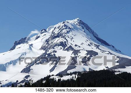 Low angle view of a snowcapped mountain, Mt Hood, Oregon, USA View Large Photo Image Stock Image - Low angle view of a snowcapped mountain, Mt Hood, Oregon, USA. Fotosearch