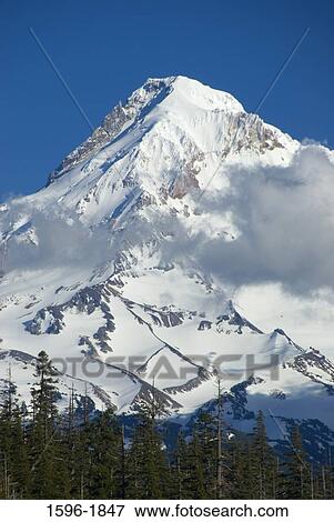 Stock Photo - Low angle view of a snowcapped mountain, Mt Hood, Jefferson County, Oregon, USA. Fotosearch