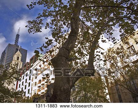 Low angle view of buildings in a city, Melbourne, Victoria, Australia View Large Photo Image Stock Image - Low angle view of buildings in a city, Melbourne, Victoria, Australia. Fotosearch