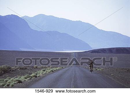 Stock Photo - Man cycling on a highway, Death Valley, California, USA. Fotosearch
