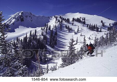 Man telemark skiing on a snow covered mountain, Utah, USA View Large Photo Image Picture - Man telemark skiing on a snow covered mountain, Utah, USA. Fotosearch