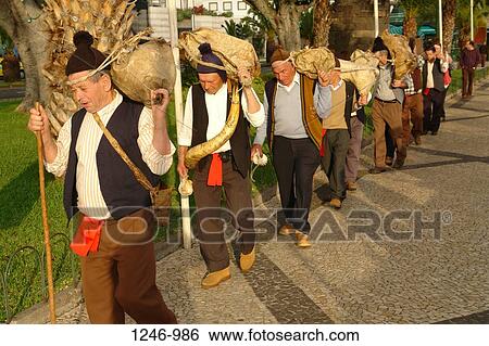 Members from a Porto da Cruz folklore group carrying wineskins, Funchal, Madeira, Portugal View Large Photo Image Stock Photograph - Members from a Porto da Cruz folklore group carrying wineskins, Funchal, Madeira, Portugal. Fotosearch