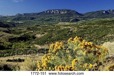 Stock Image - Panoramic view of a landscape, Cimarron Loop, Colorado, USA. Fotosearch
