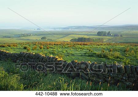 Panoramic view of fields, Northumbria, England View Large Photo Image Stock Photo - Panoramic view of fields, Northumbria, England. Fotosearch