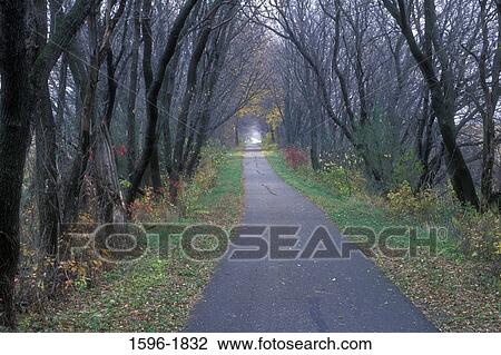 Stock Image - Rail trail passing through a forest, Sakatah Singing Hills State Trail, Blue Earth County, Minnesota, USA. Fotosearch