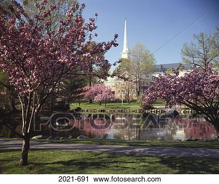 Reflection of a church in water, Westfield, New Jersey, USA View Large Photo Image Stock Image - Reflection of a church in water, Westfield, New Jersey, USA. Fotosearch